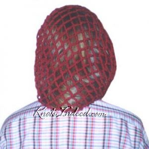 a net snood or hairnet