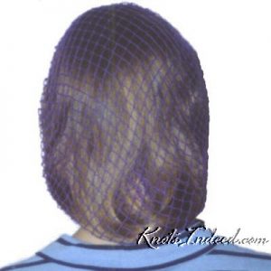 a net snood or hairnet