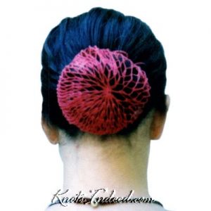 a net cover for a hair bun