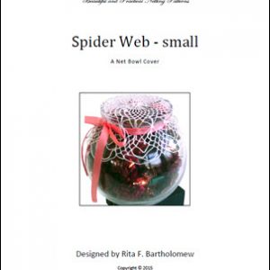 Spider Web: a small net bowl cover